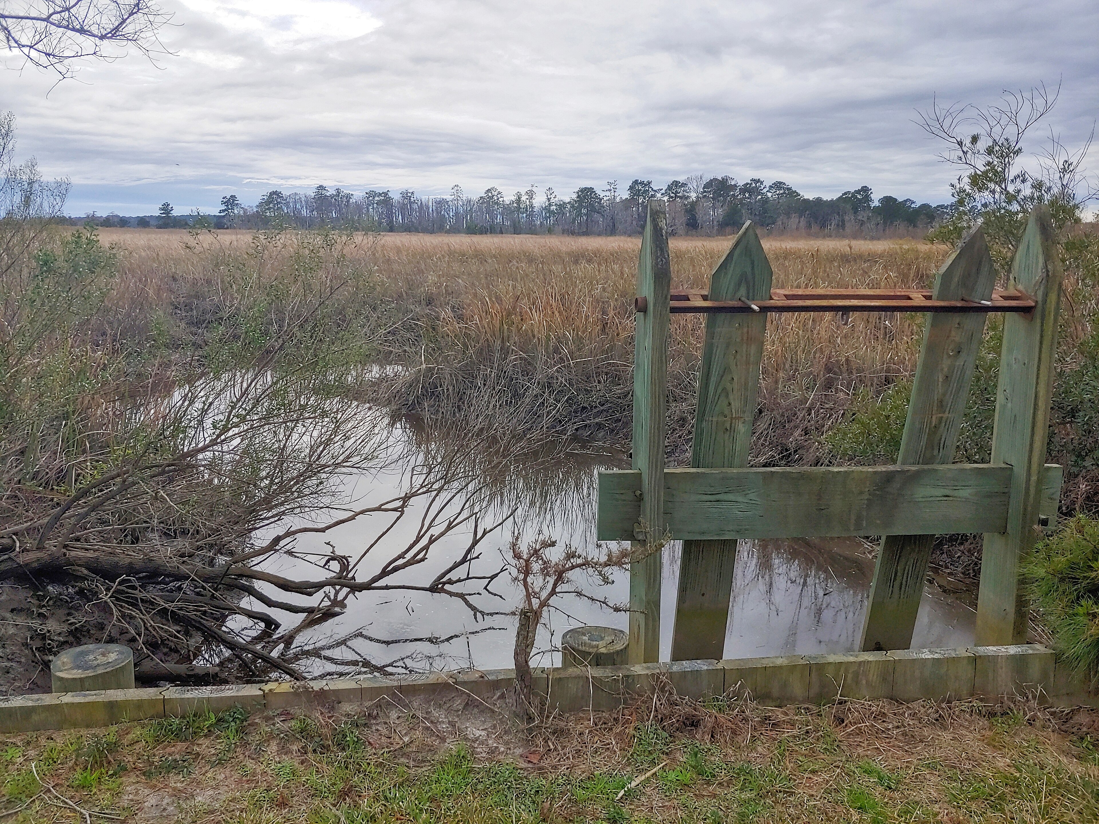 ACE Basin National Wildlife Refuge