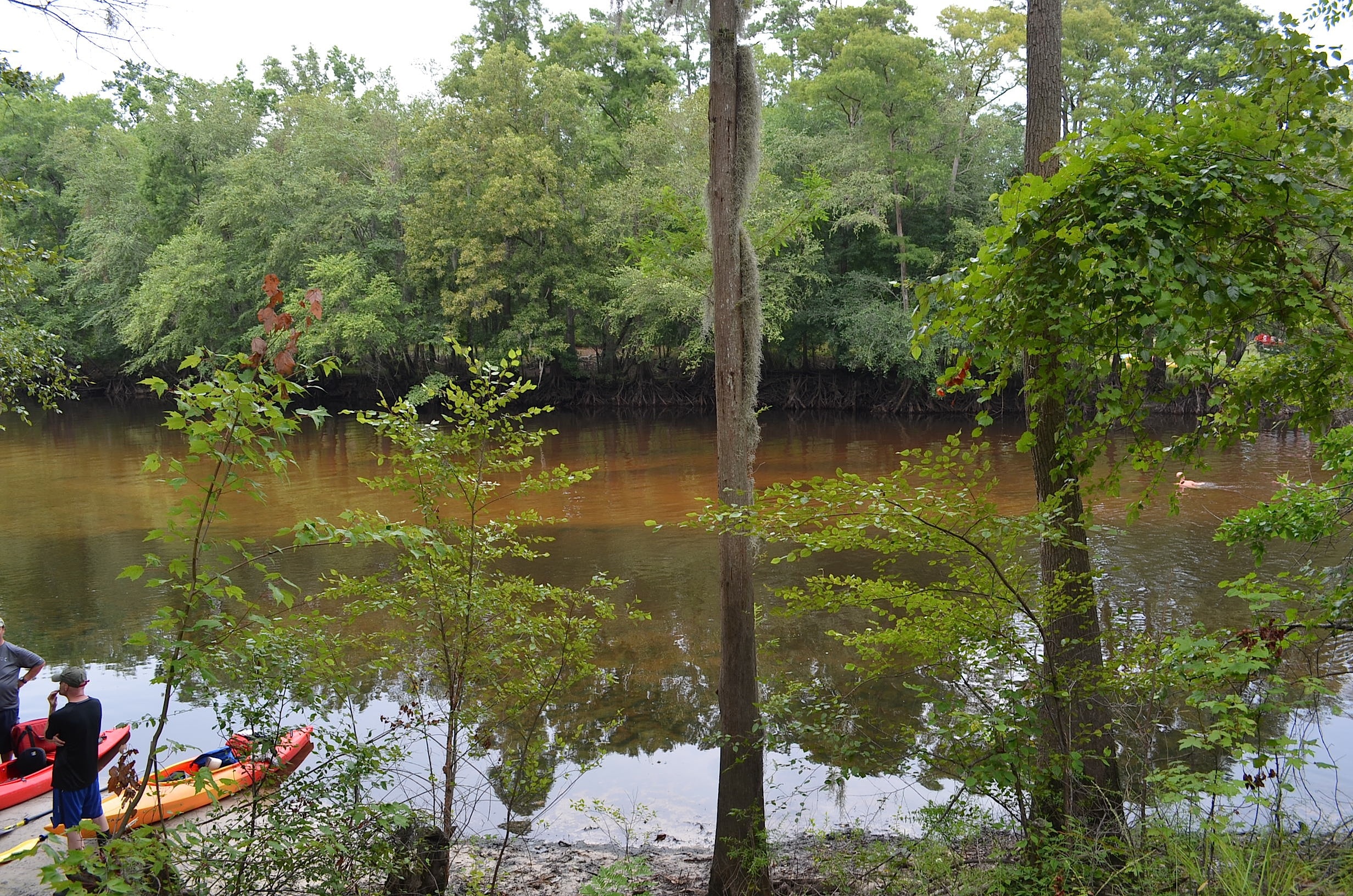 Colleton State Park