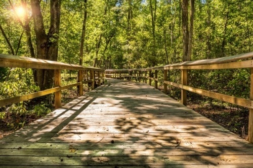 Walterboro Wildlife Sanctuary
